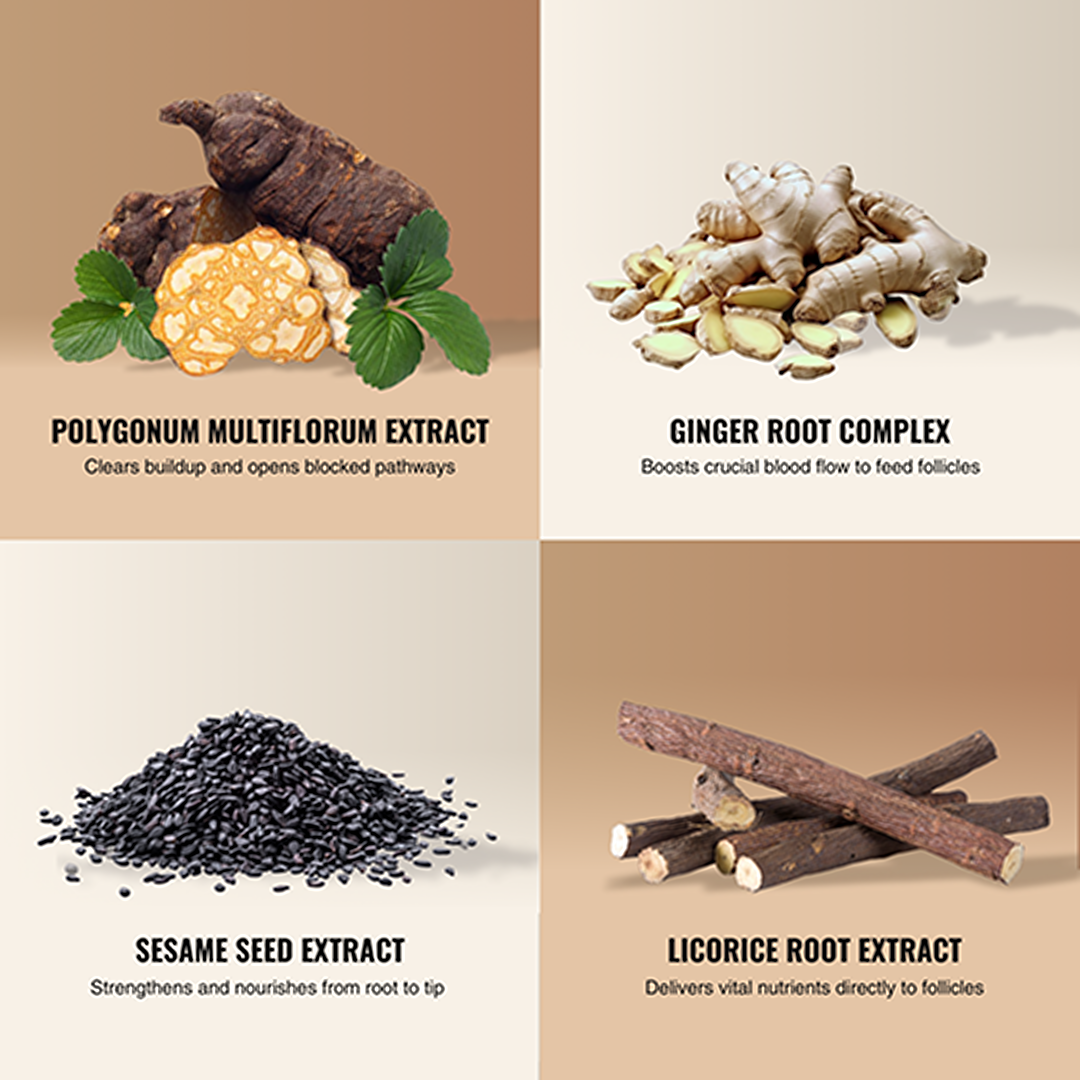 Root Activator Shampoo