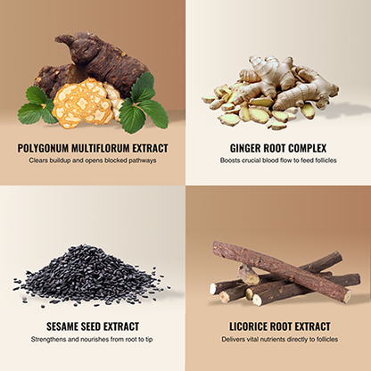 Root Activator Conditioner